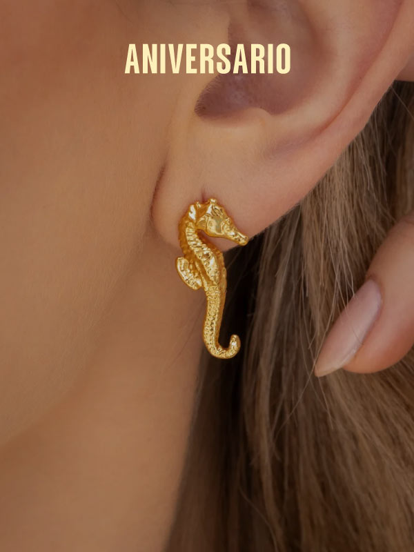 Aretes en oferta