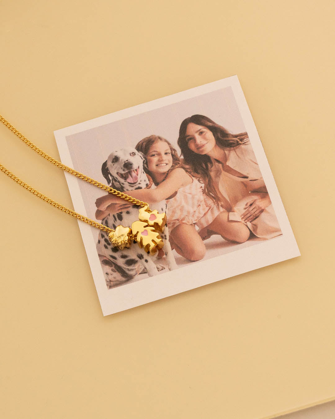Collar Familia | Para personalizar